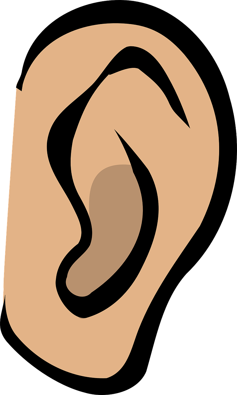 Welcher ist der beste Gehörschutz mit Bluetooth?